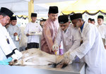 AMIRUL_6