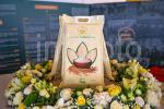 ASRI ABAS-30
