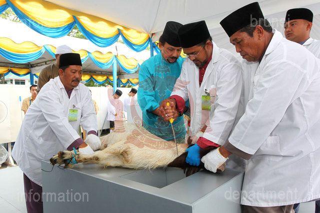 H_YUSOF 019