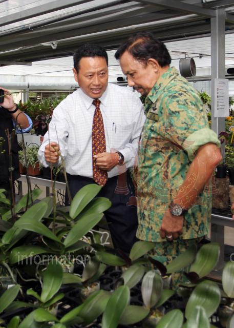 AZMAH_30