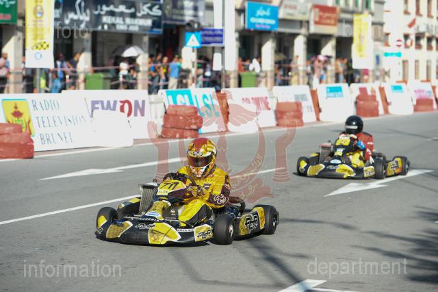 ARIF-13