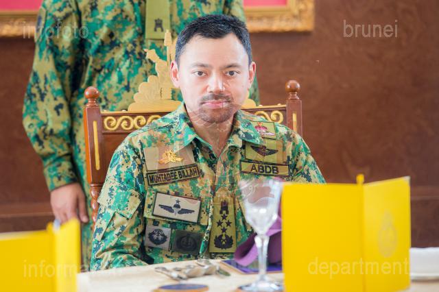 AZMI-HBV-33