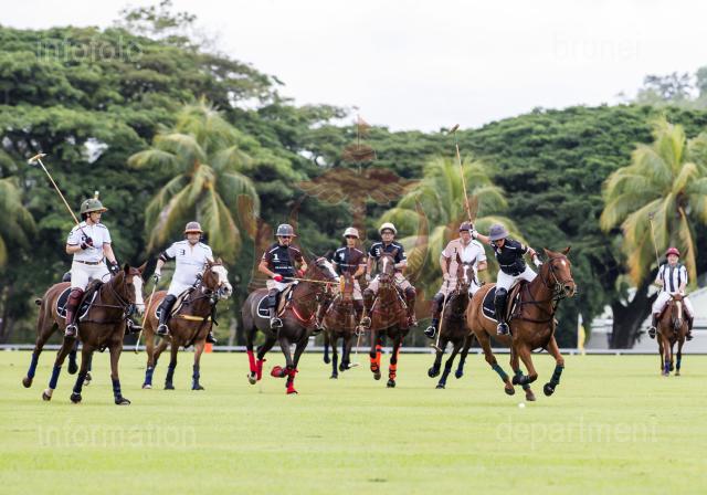 POLO-10
