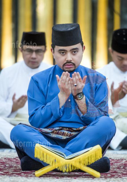BELIA-16