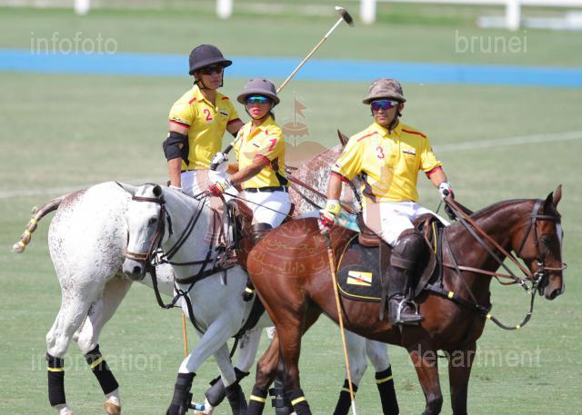 AHA_HMPOLO04