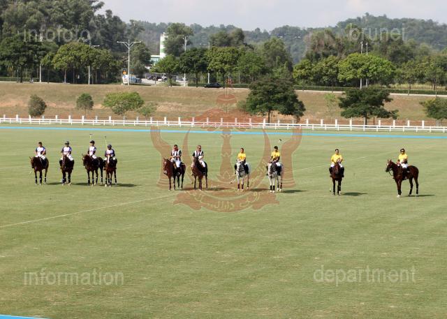 AHA_SG_POLO_03