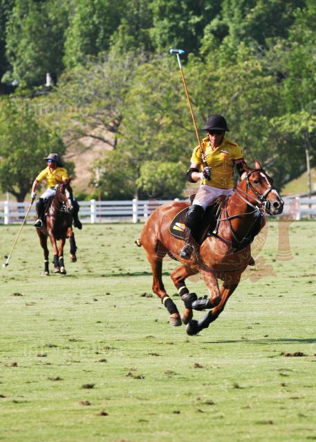 AHA_SG_POLO_10