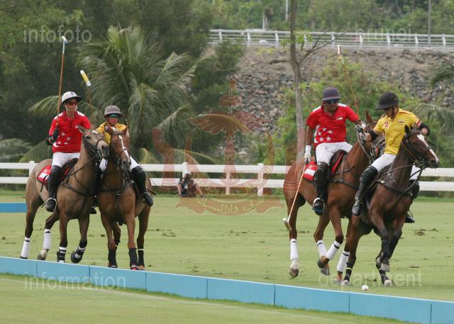 AHA_SG_POLO_17