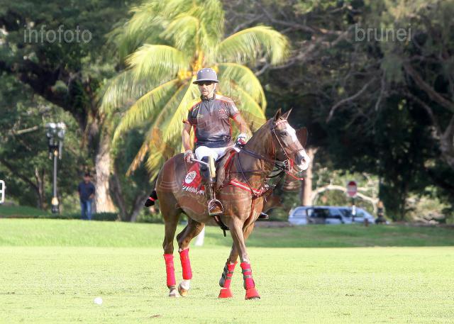 DKFILA-POLO-11