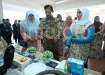 INFODEPT05-003