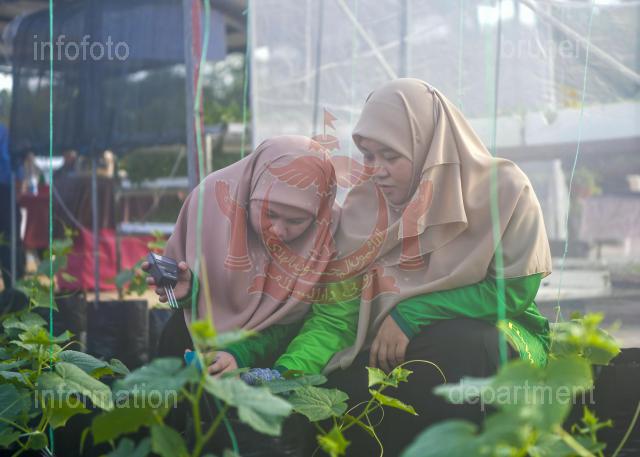 INFODEPT01-002