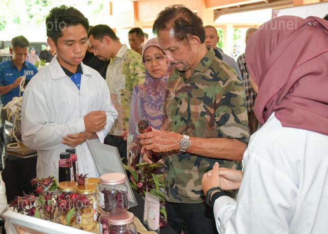 INFODEPT01-044