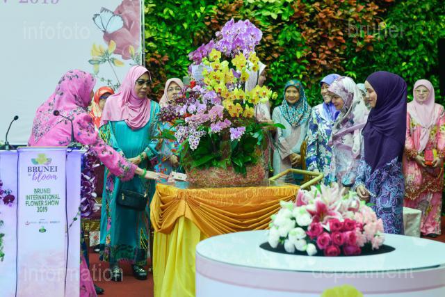 INFODEPT02-08
